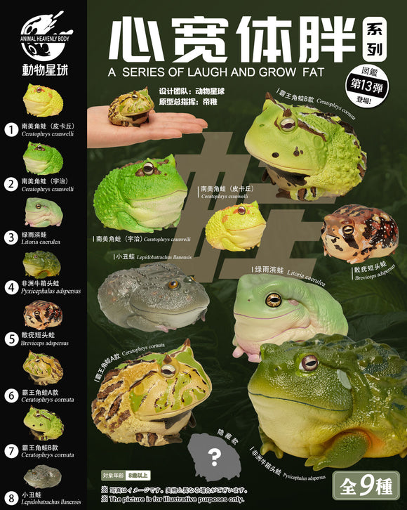 Animal Planet 13 Frog Blind Box Model