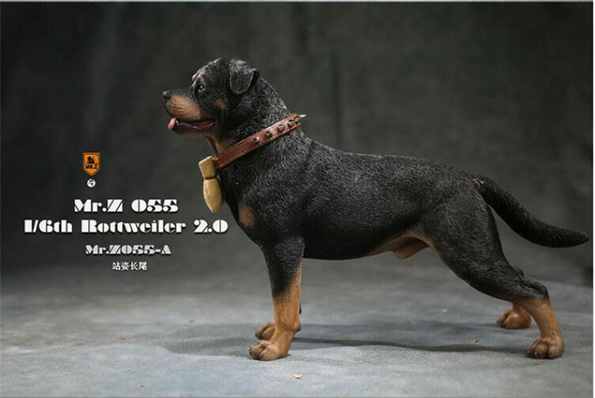 Mr.z 1/6 Rottweiler Figure