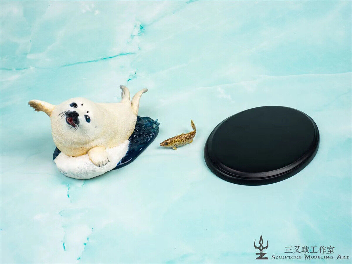 Seal Play With Gadus Model