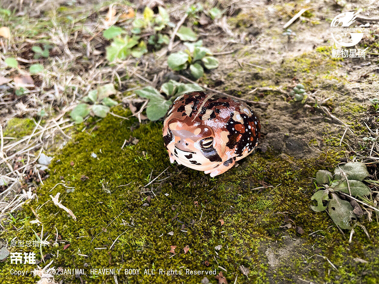 Animal Planet 13 Frog Blind Box Model