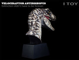 ITOY Velociraptor Antirrhopus Head Bust Model