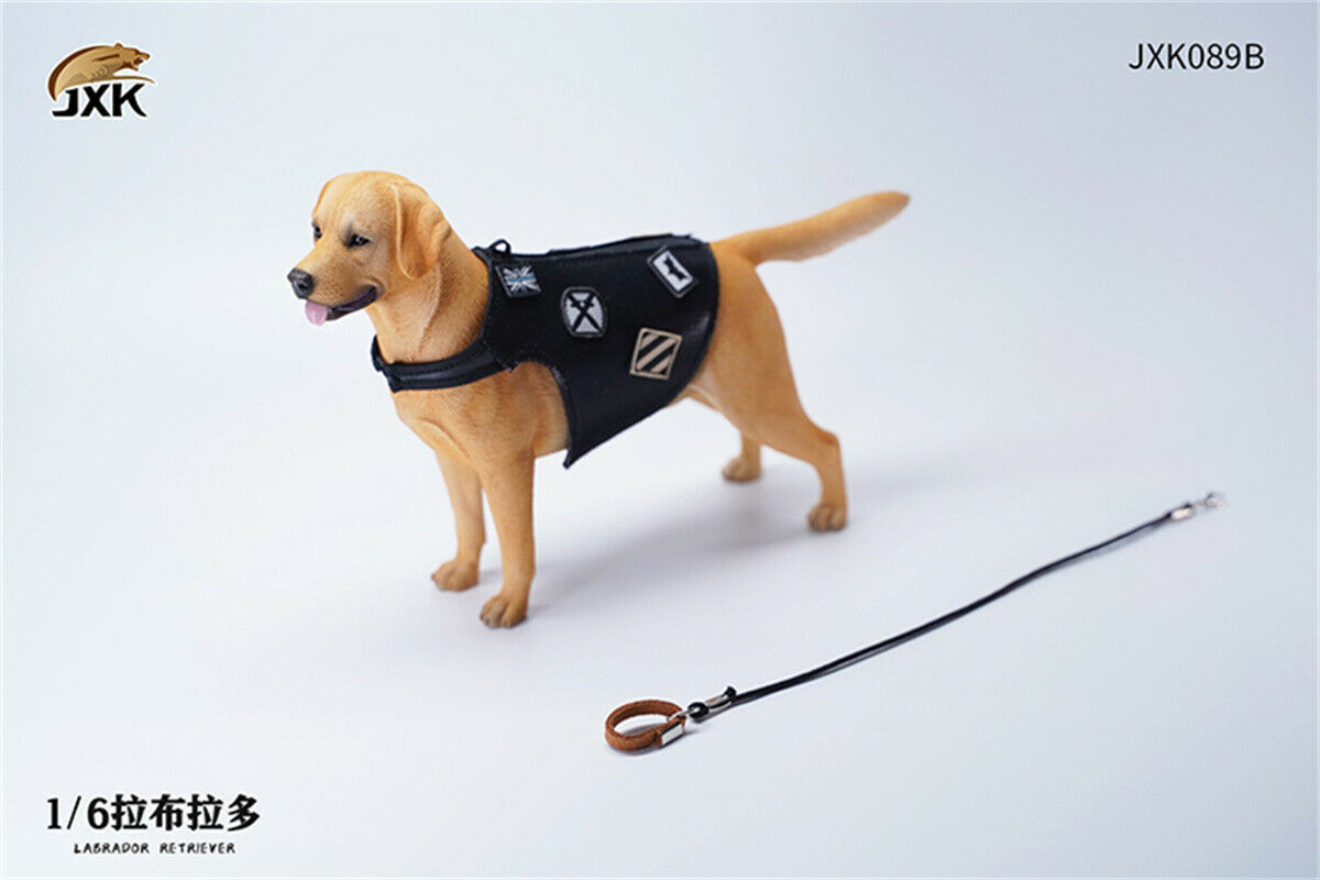 JXK 1/6 Labrador Retriever Dog Model