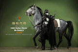 Mr.z 1/6 Hailar Sanhe Horse Model