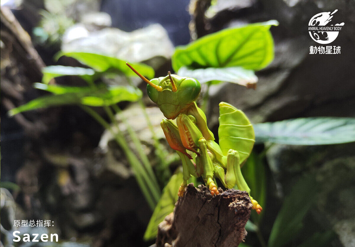 Animal Planet 07 Insect Blind Box Model