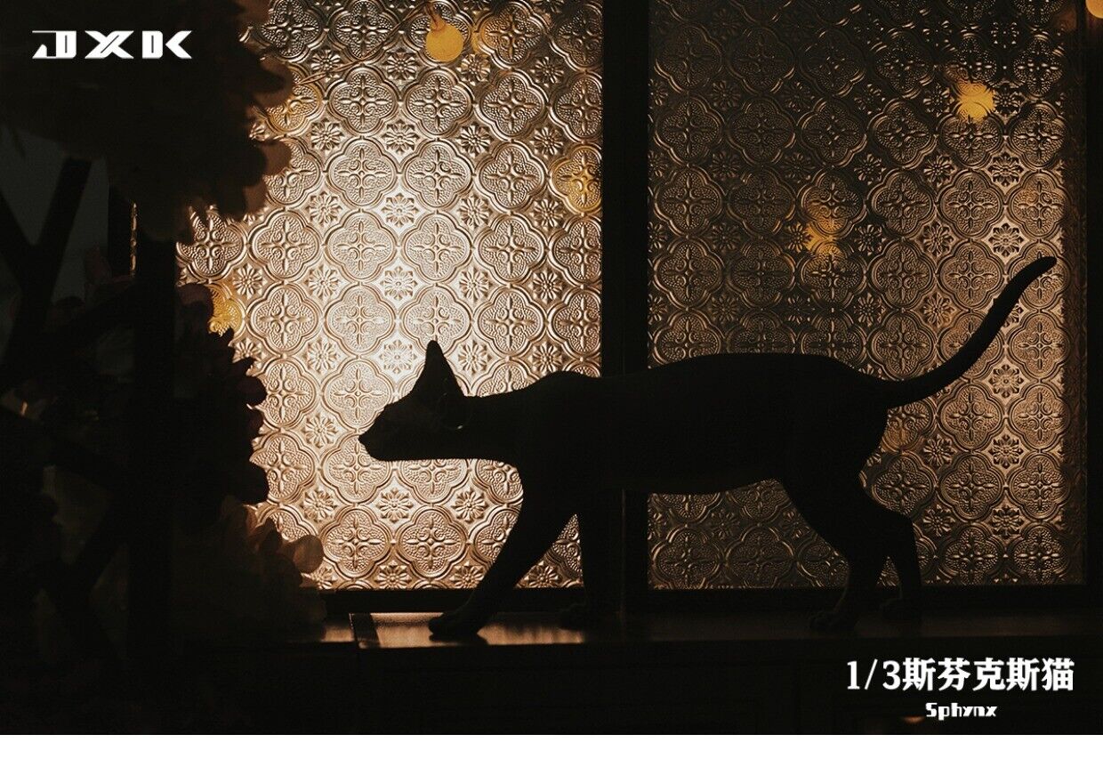 JXK 1/3 Canadian Hairless Model