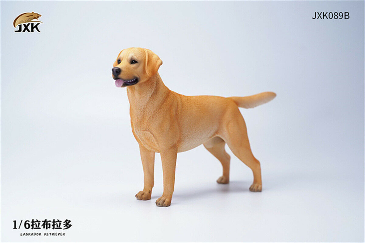 JXK 1/6 Labrador Retriever Dog Model