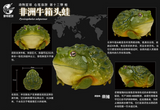Animal Planet 13 Frog Blind Box Model
