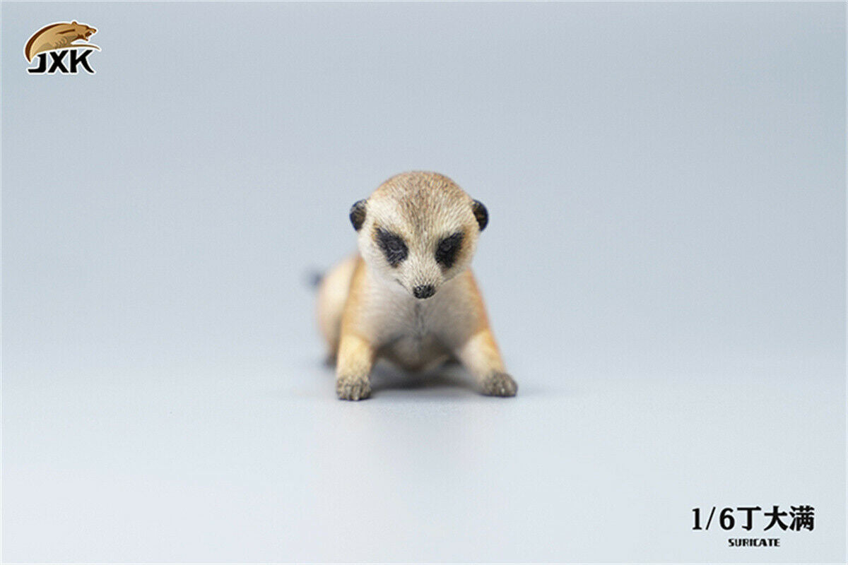 JXK 1/6 Lion's Buddy Model