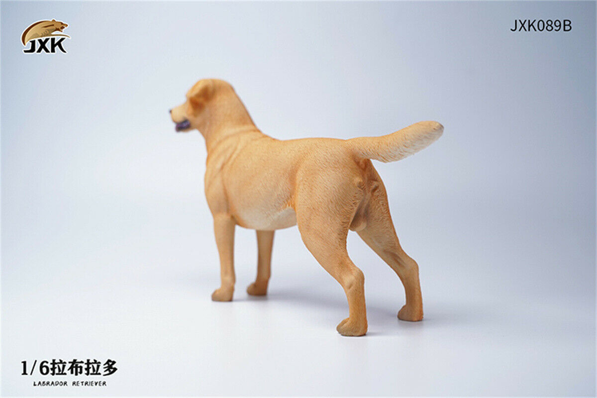 JXK 1/6 Labrador Retriever Dog Model