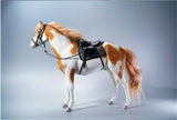 JXK 1/6 American Paint Horse Model