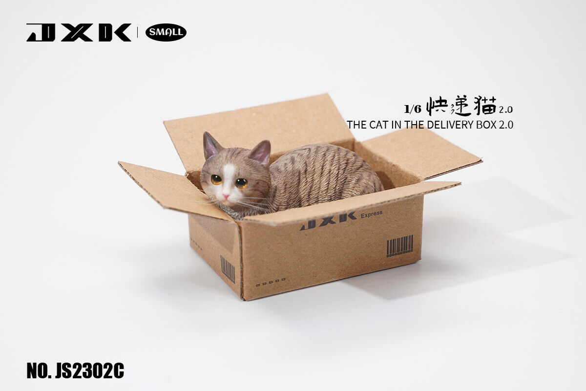JXK Small The Cat In The Delivery Box 2.0 Model