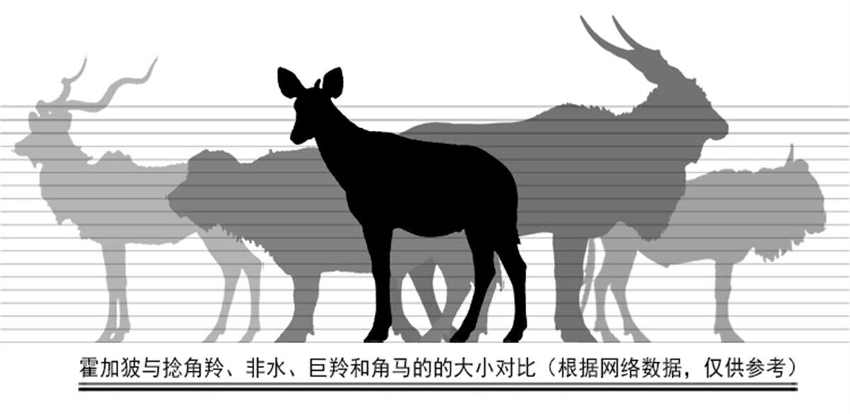 Dafei Okapi Statue