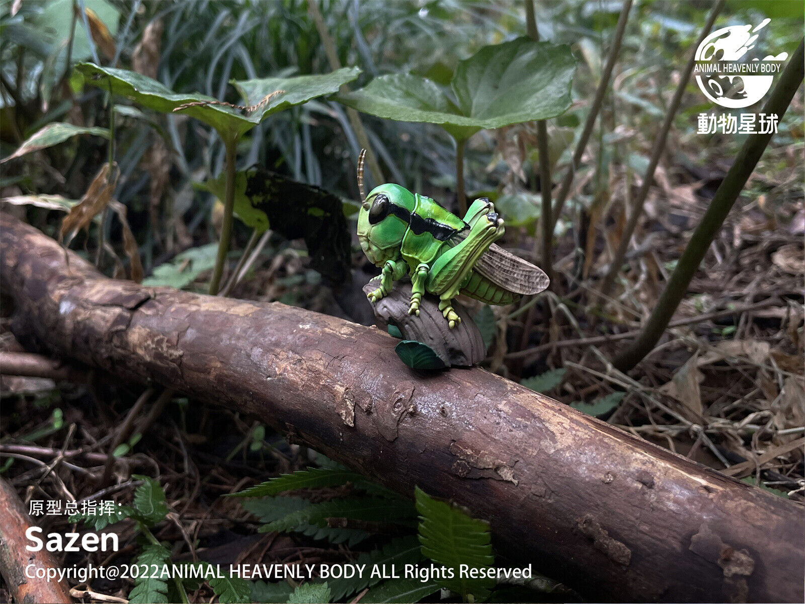 Animal Planet 11 Insect 2.0 Blind Box Model