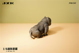 JXK 1/6 Mini Bully Dog Model