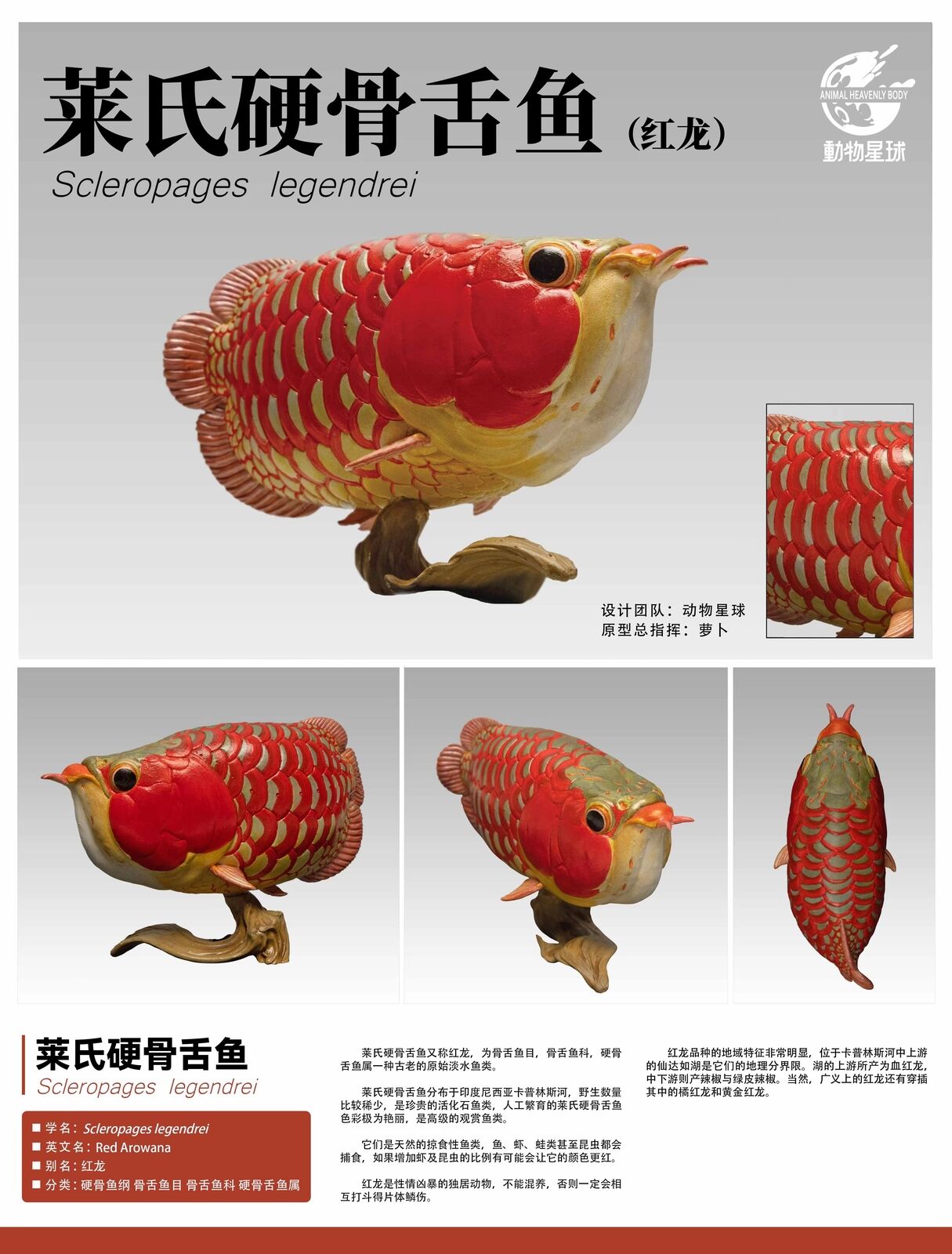 Animal Planet 11 Ancient Fish Blind Box Model