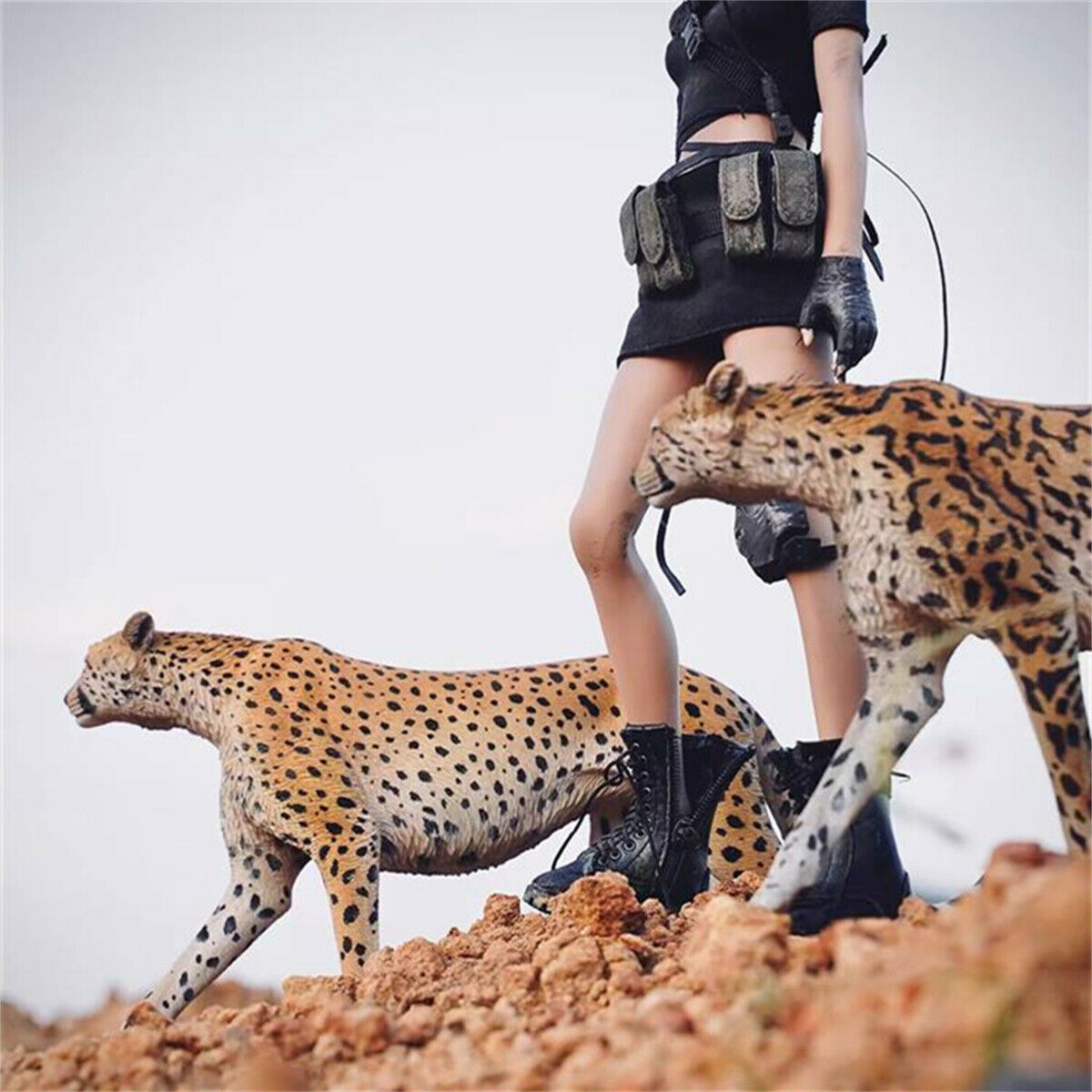 JXK 1/6 Acinonyx jubatus King Cheetha Model