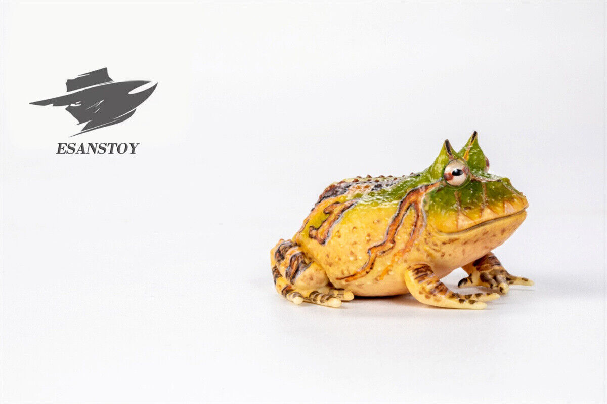 ESANSTOY Surinam Horned Frog Model