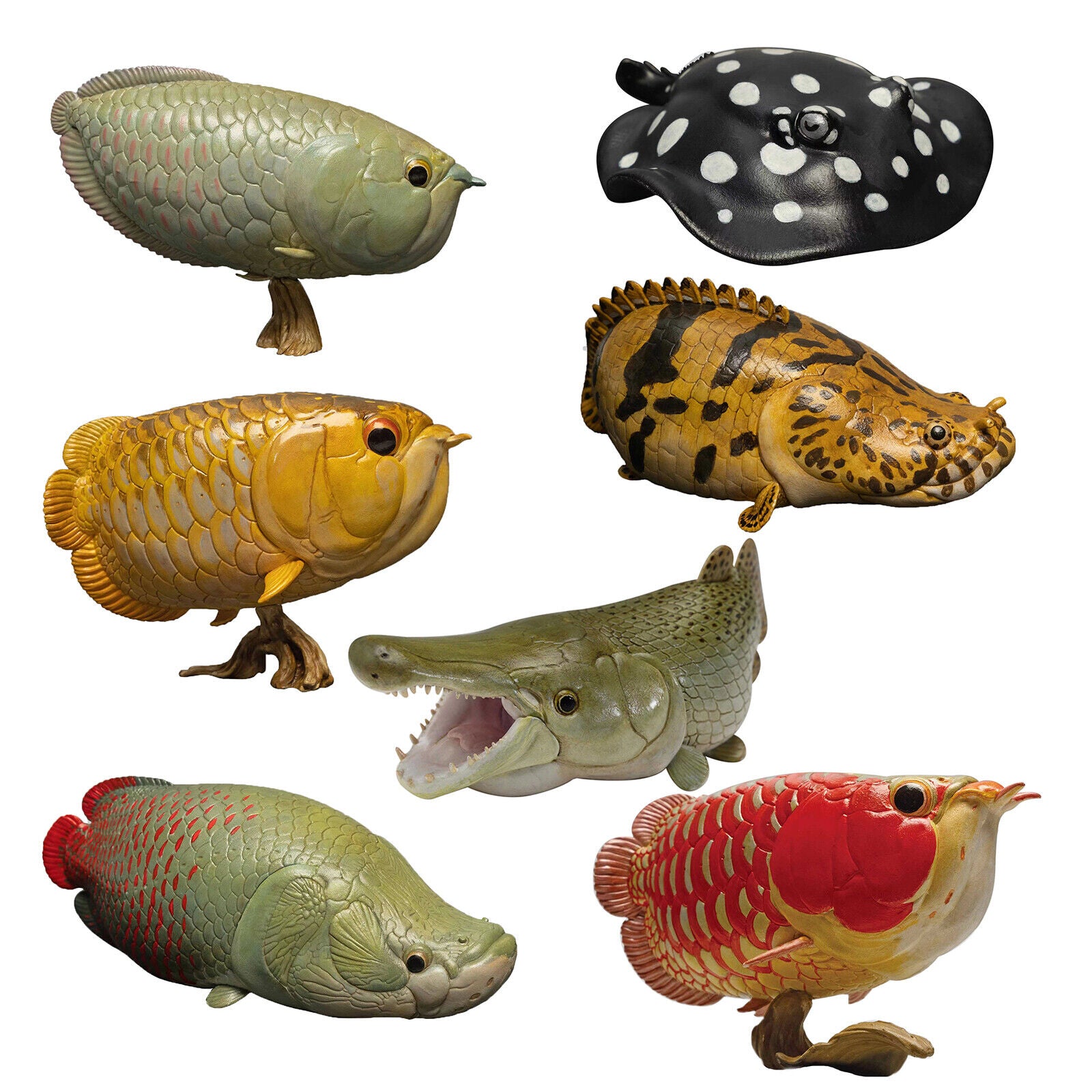 Animal Planet 11 Ancient Fish Blind Box Model