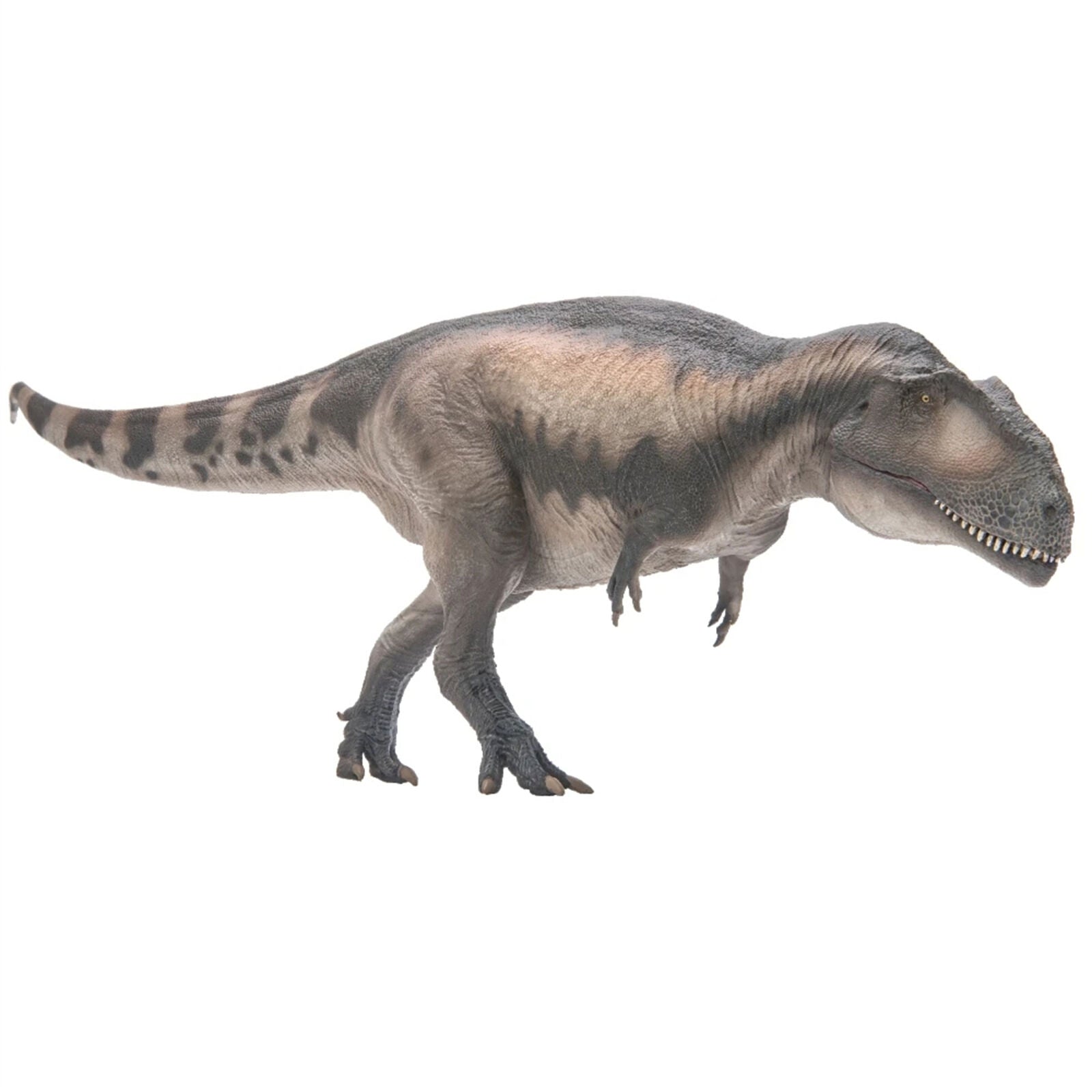 PNSO 68 Mapusaurus Mila Model