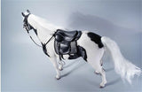 JXK 1/6 American Paint Horse Model