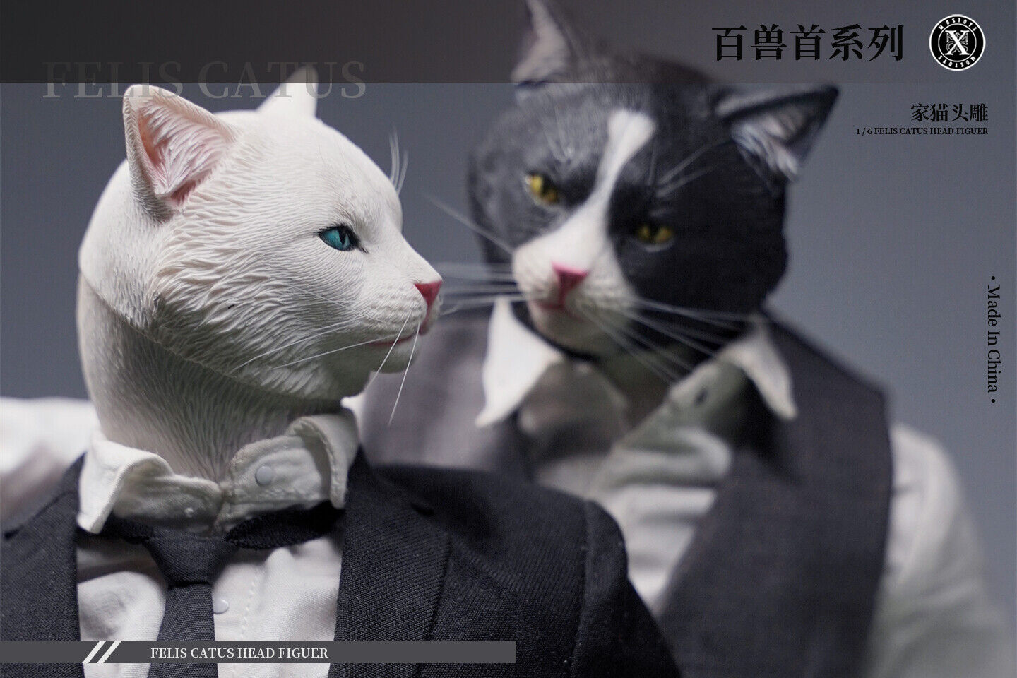 Mostoys 1/6 Felis Catus Head Figure