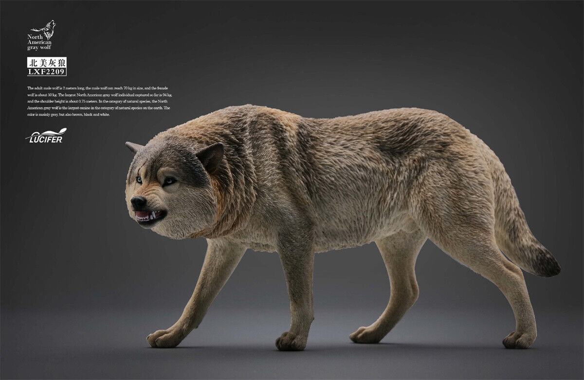 JXK&Lucifer 1/6 North American Gray Wolf Model