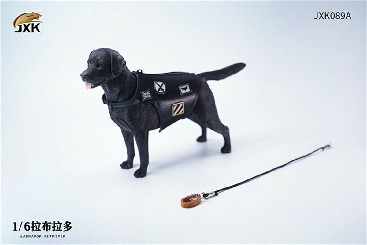 JXK 1/6 Labrador Retriever Dog Model