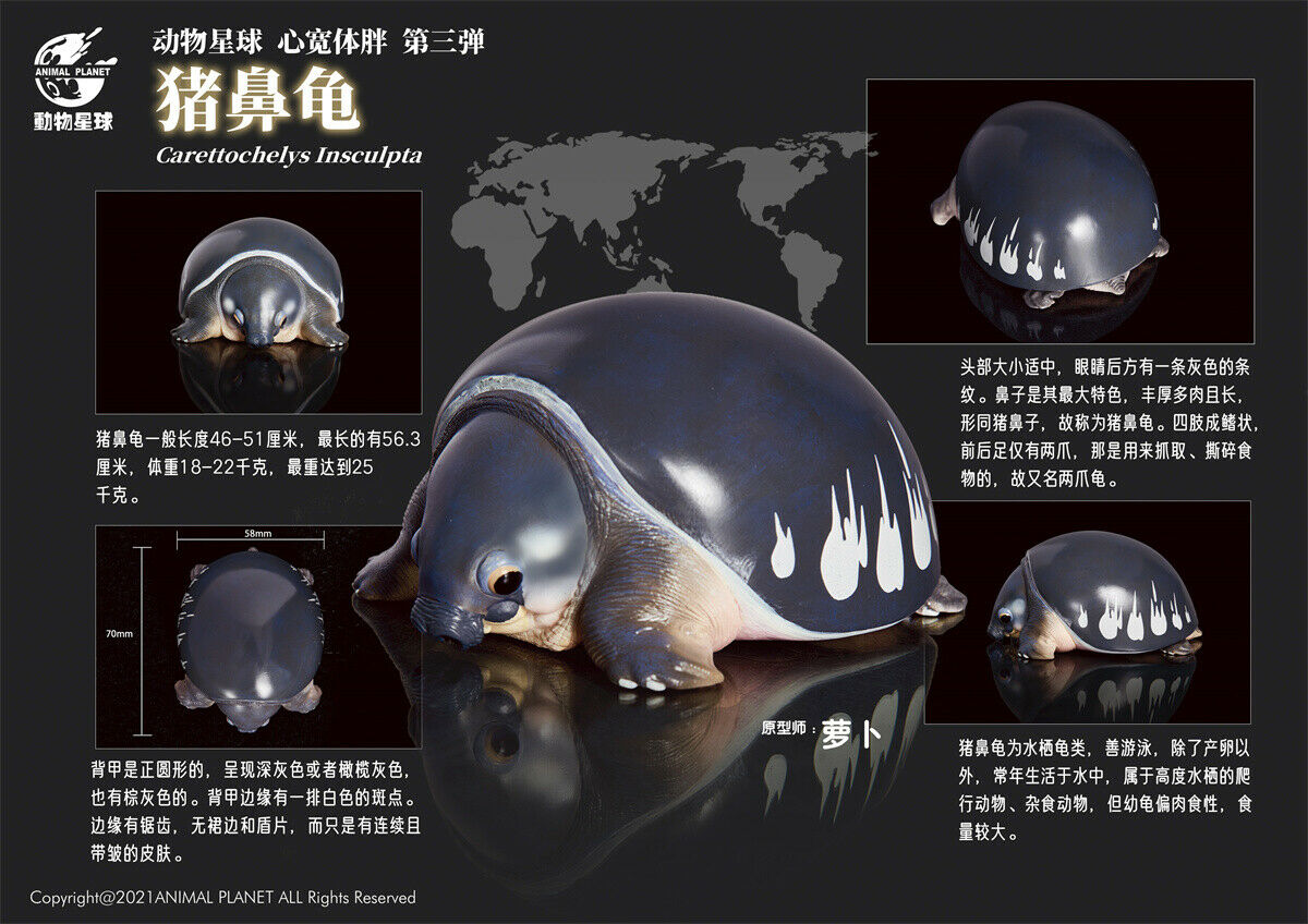 Animal Planet A Series of Laugh and Grow Fat 03 Model