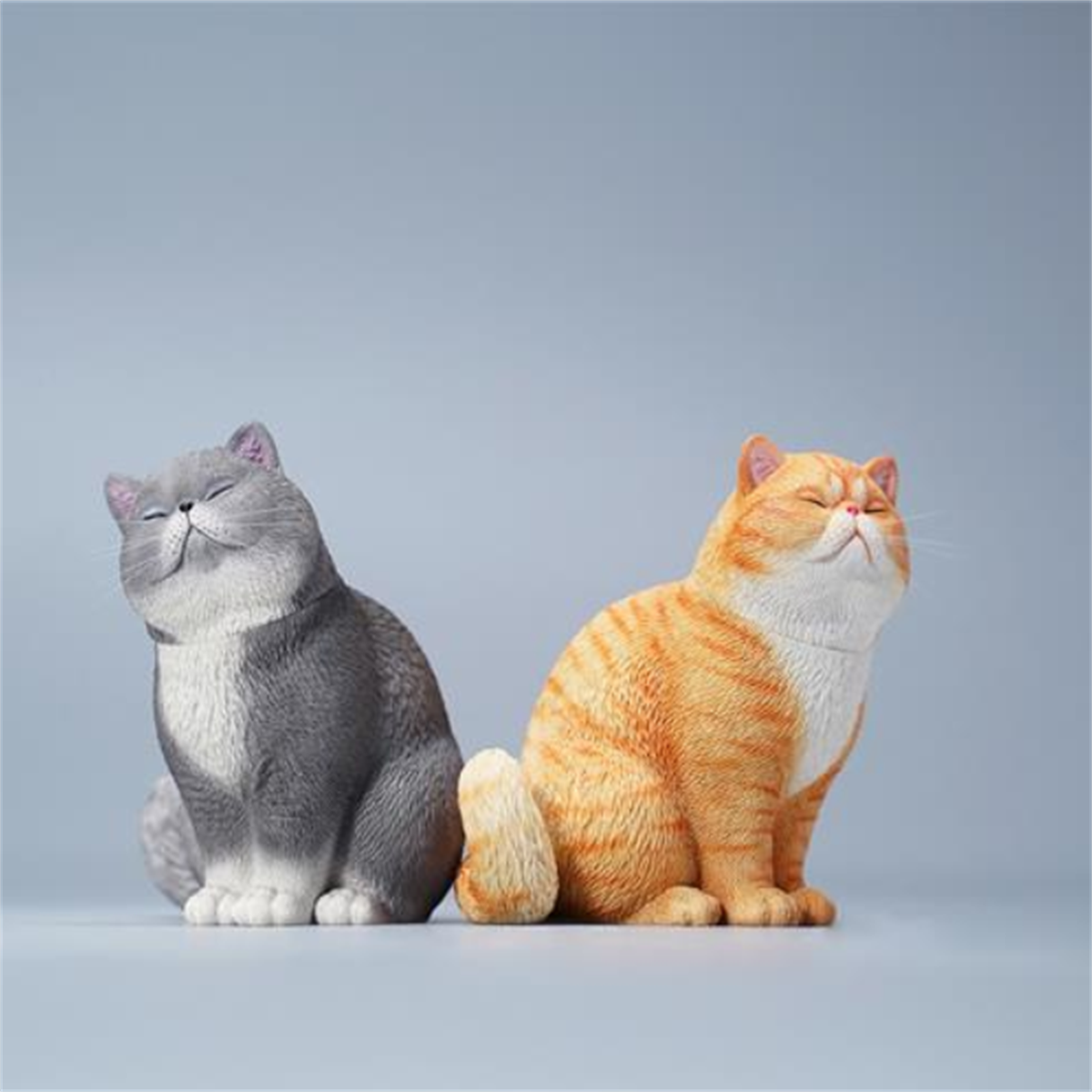 JXK 1/6 Change Head Exoticshorthair Cat Model