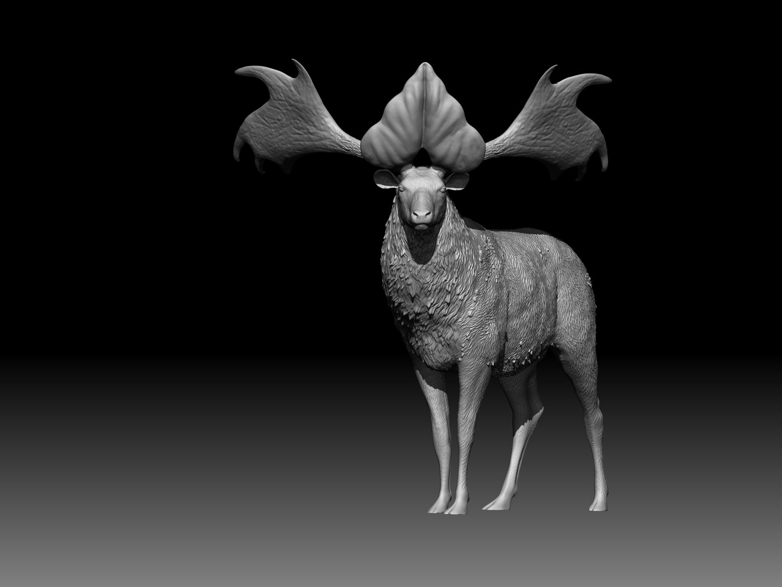 Sinomegaceros pachyosteus Model
