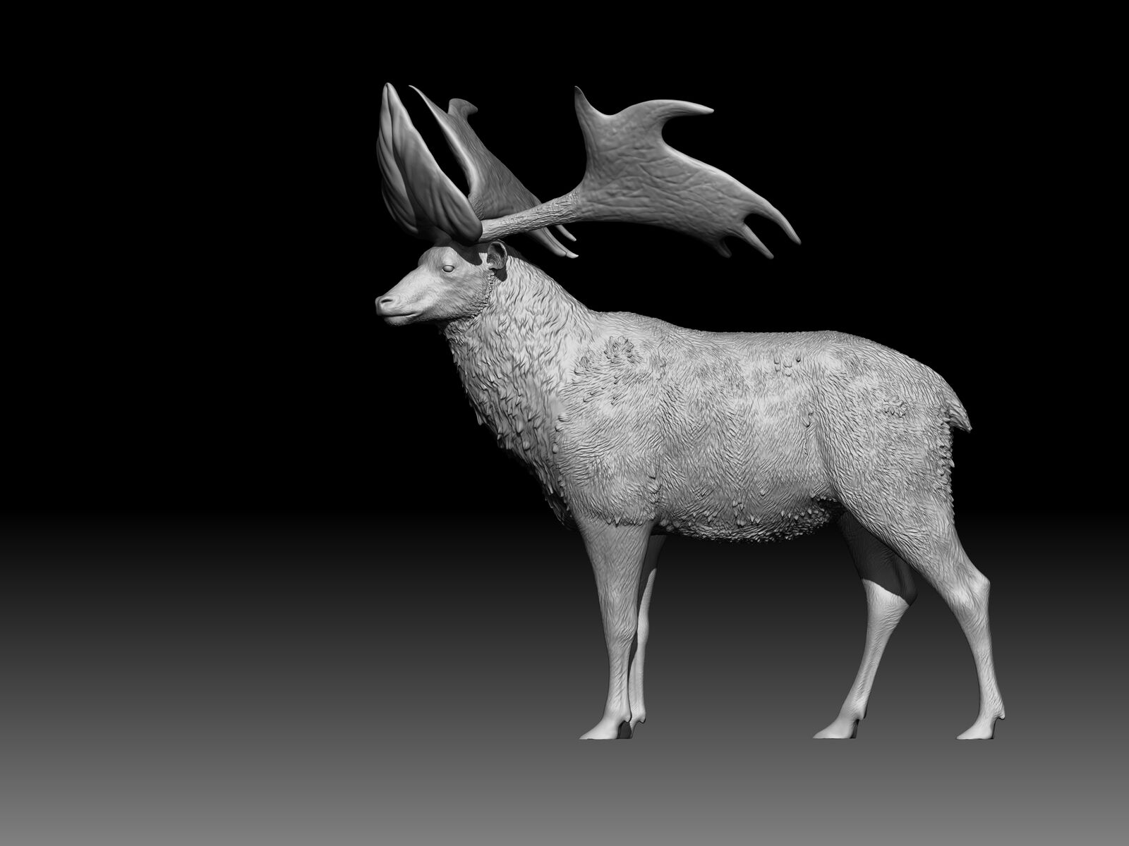 Sinomegaceros pachyosteus Model