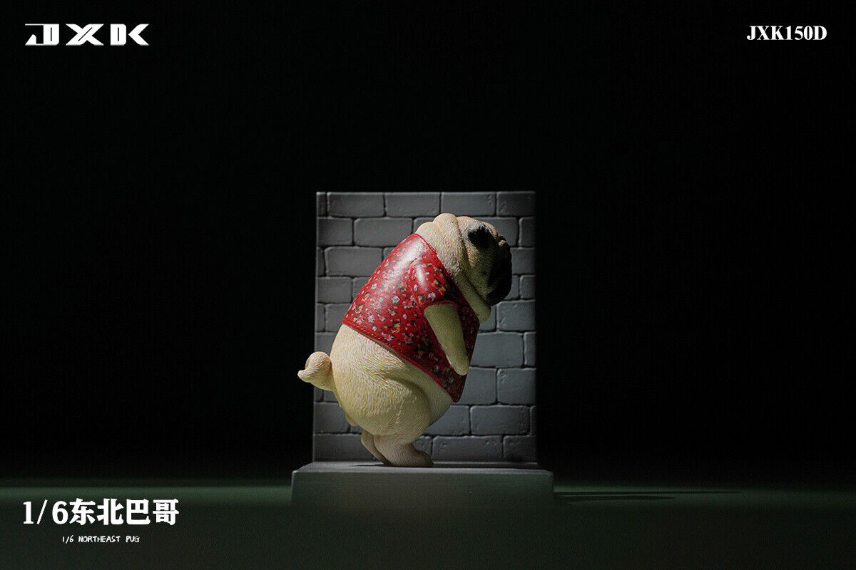 JXK 1/6 Northeast Pug Model