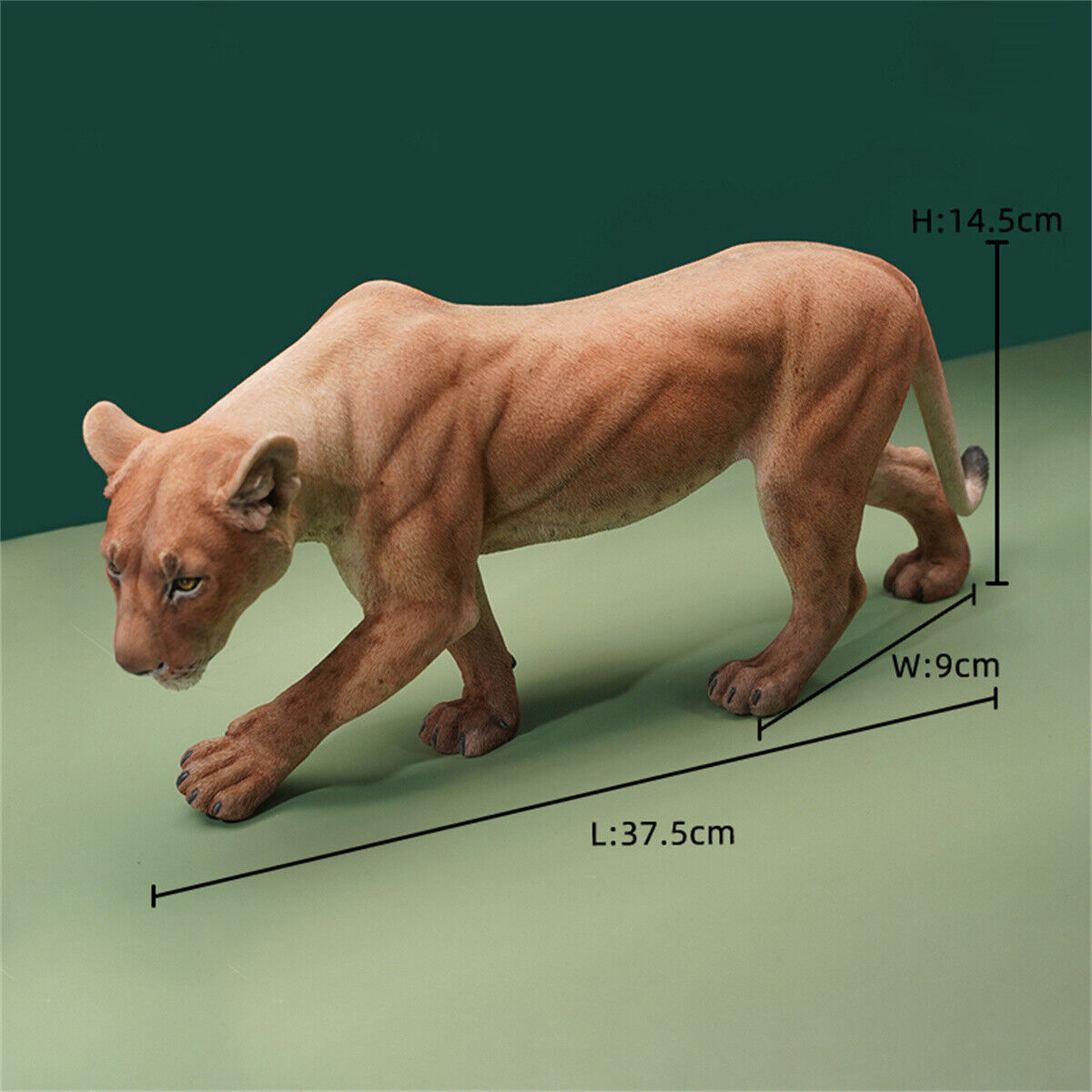 JXK 1/6 Lioness Model