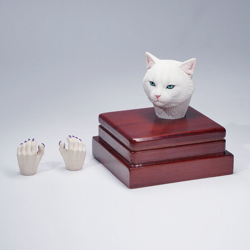 Mostoys 1/6 Felis Catus Head Figure