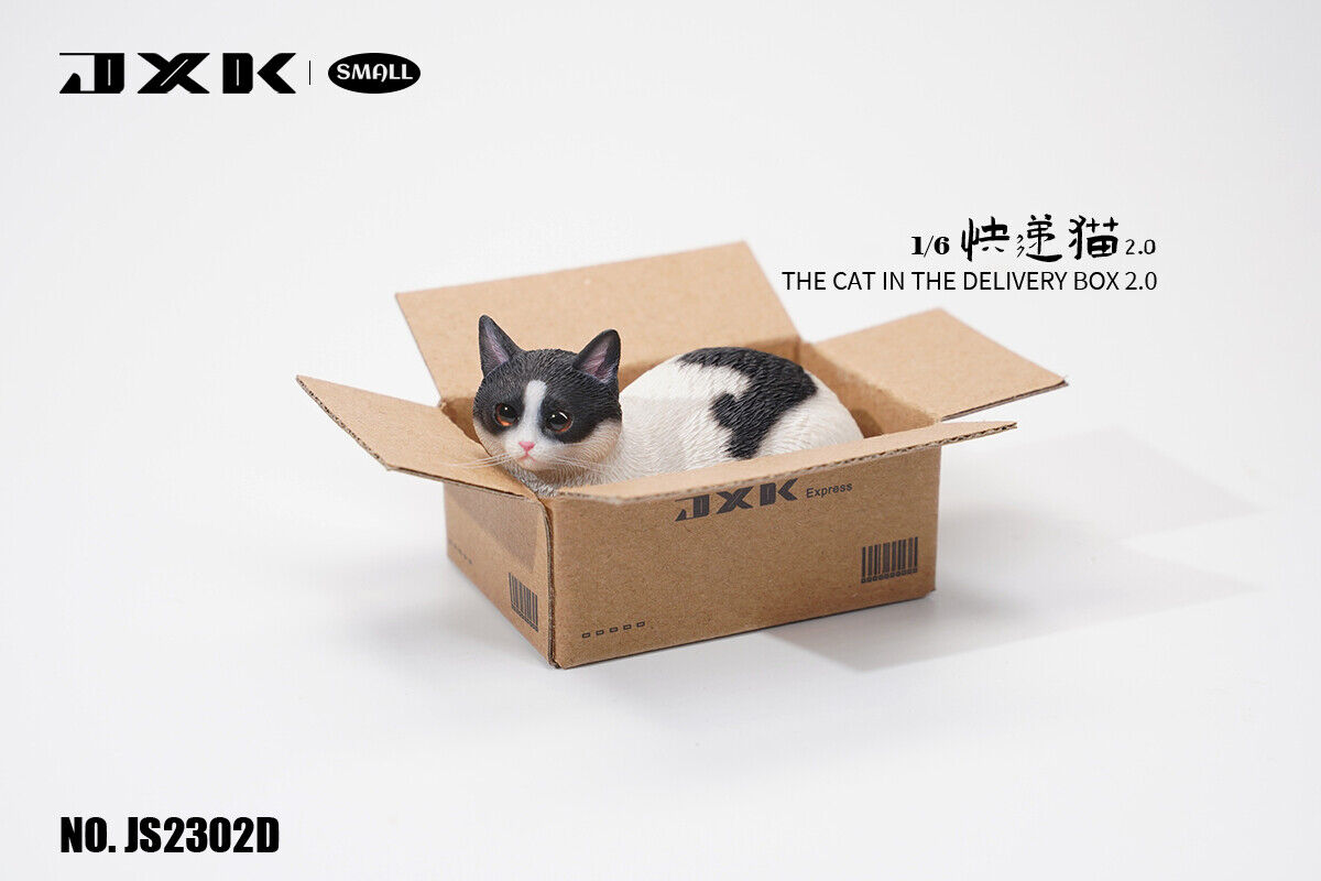 JXK Small The Cat In The Delivery Box 2.0 Model