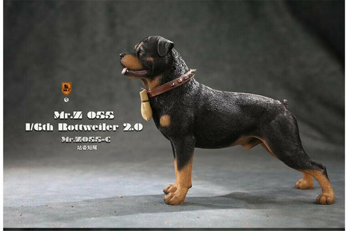 Mr.z 1/6 Rottweiler Figure