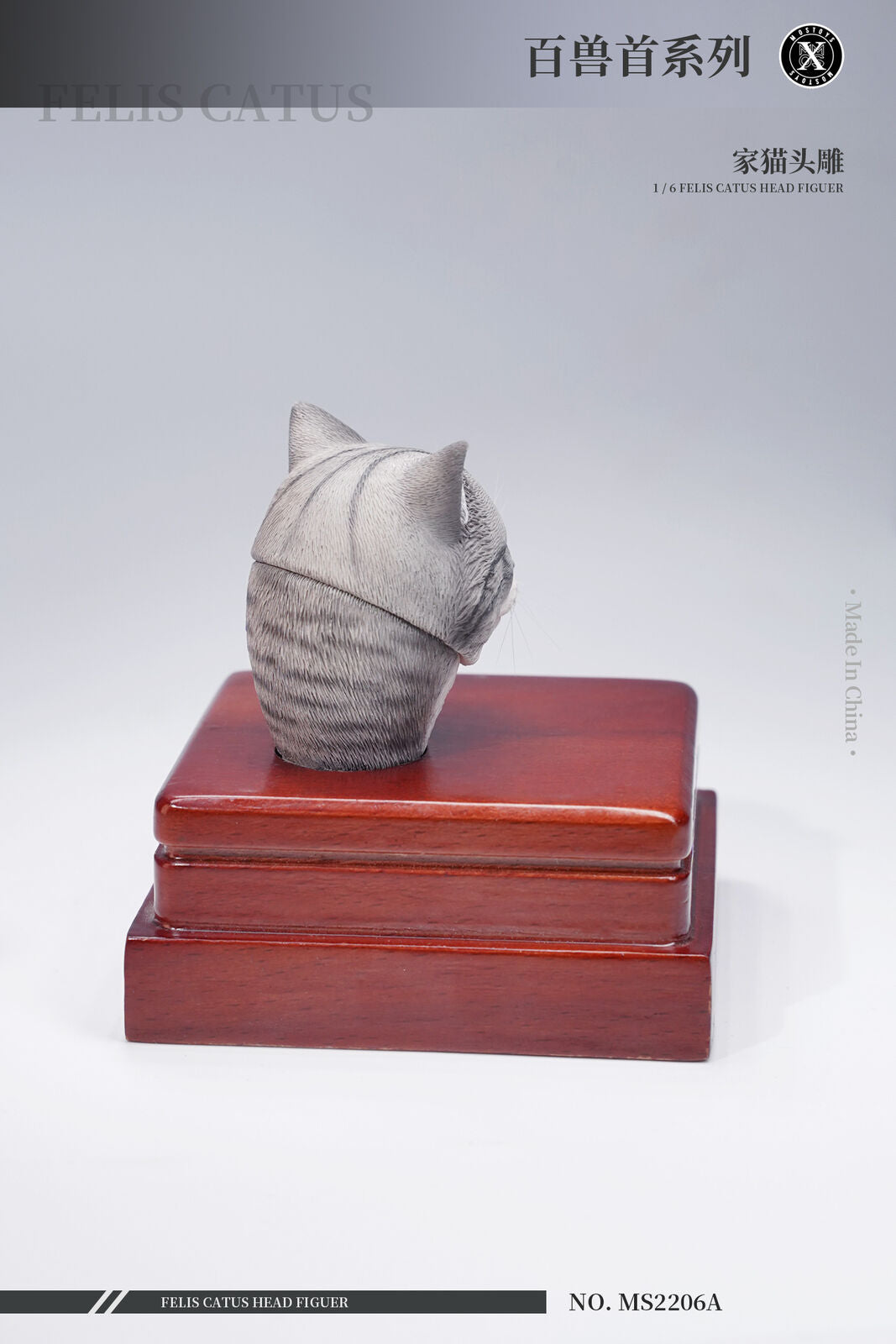 Mostoys 1/6 Felis Catus Head Figure
