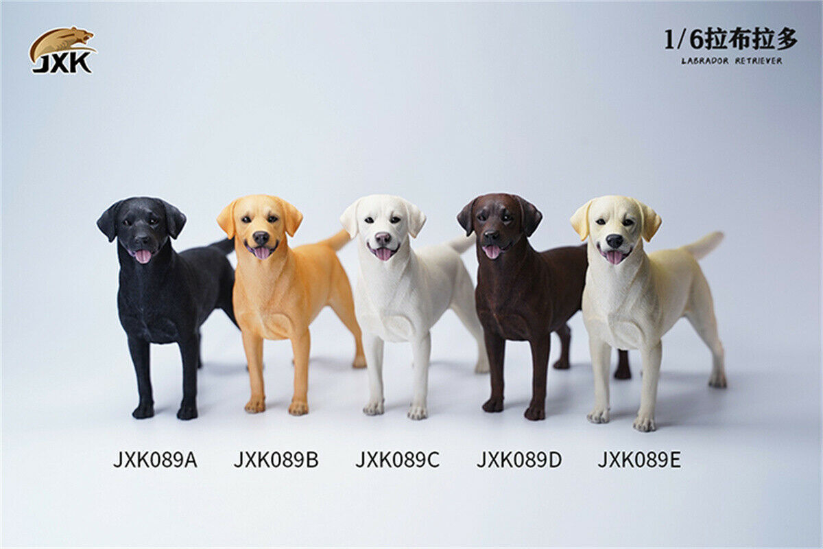 JXK 1/6 Labrador Retriever Dog Model