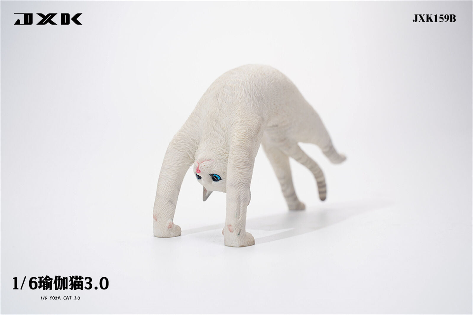 JXK 1/6 Yoga Cat 3.0 Model