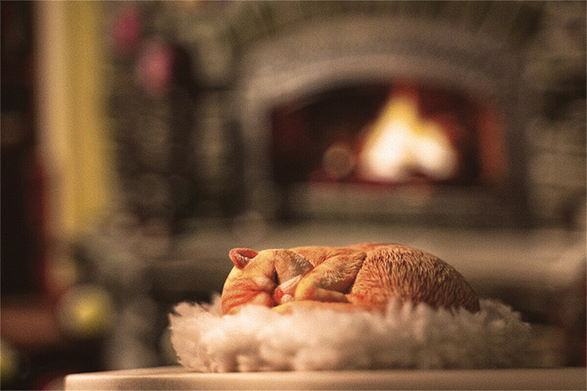 JXK 1/6 Lethargic Cat 3.0 Model