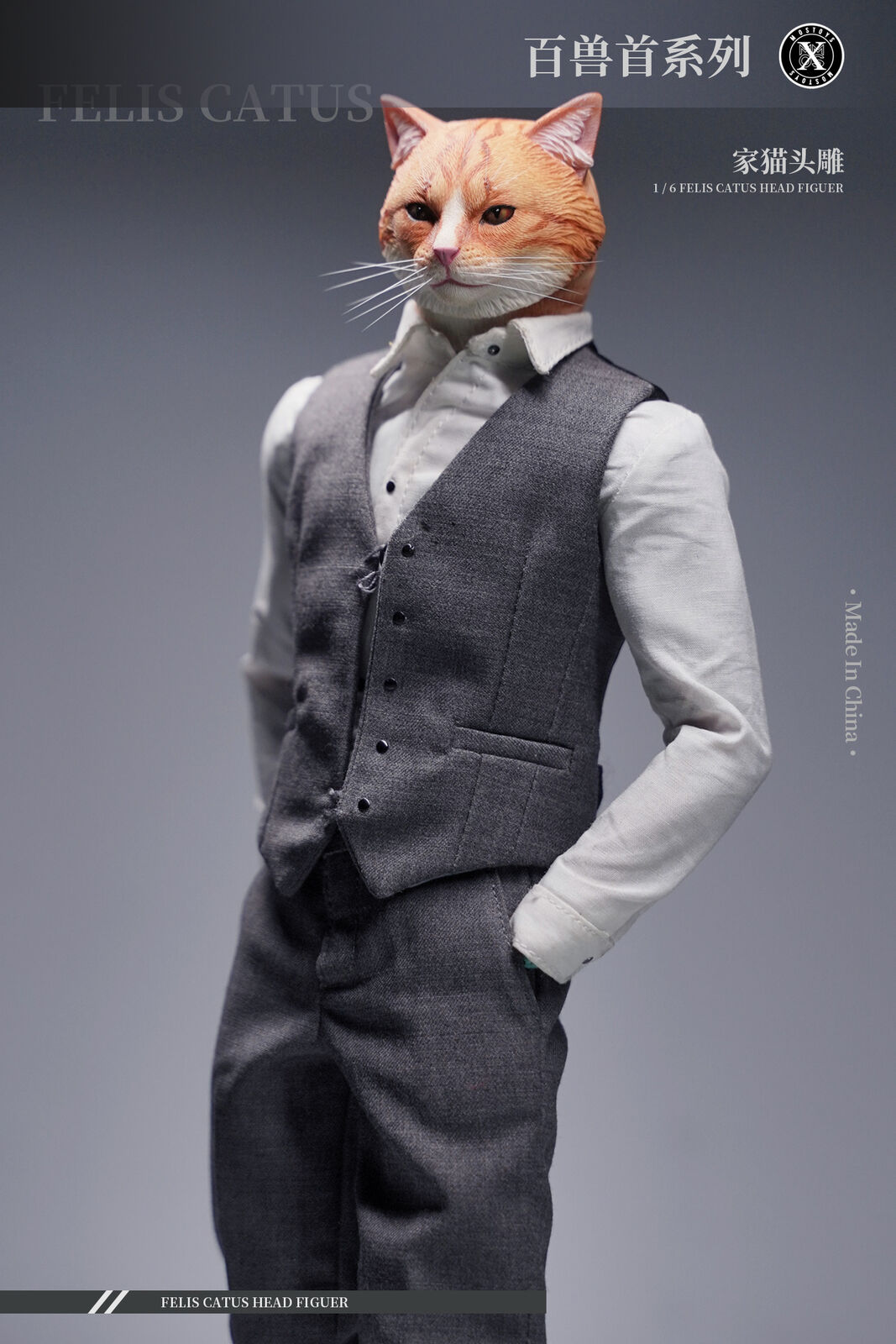 Mostoys 1/6 Felis Catus Head Figure