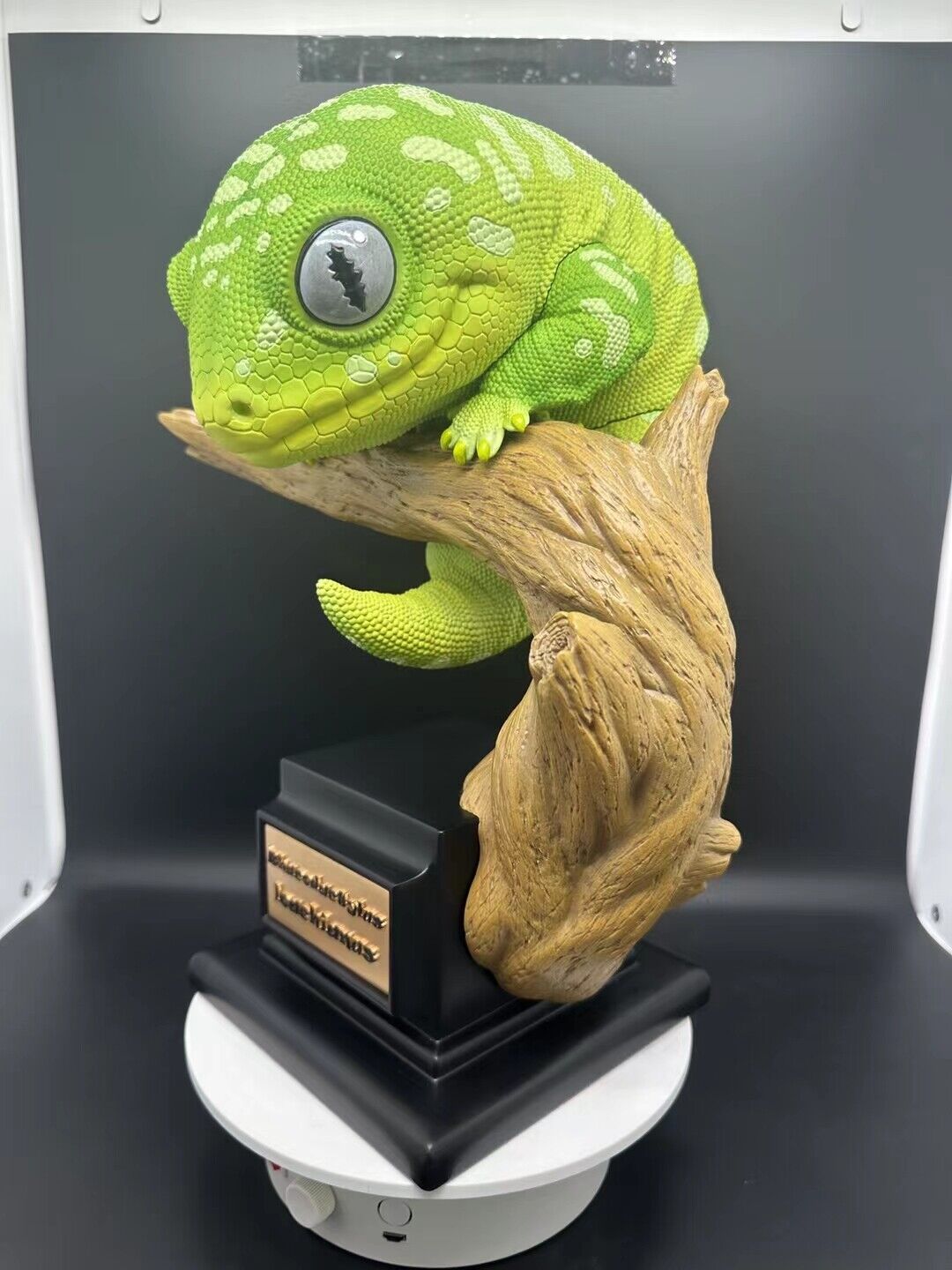 Wall lizard Plus Limited Model