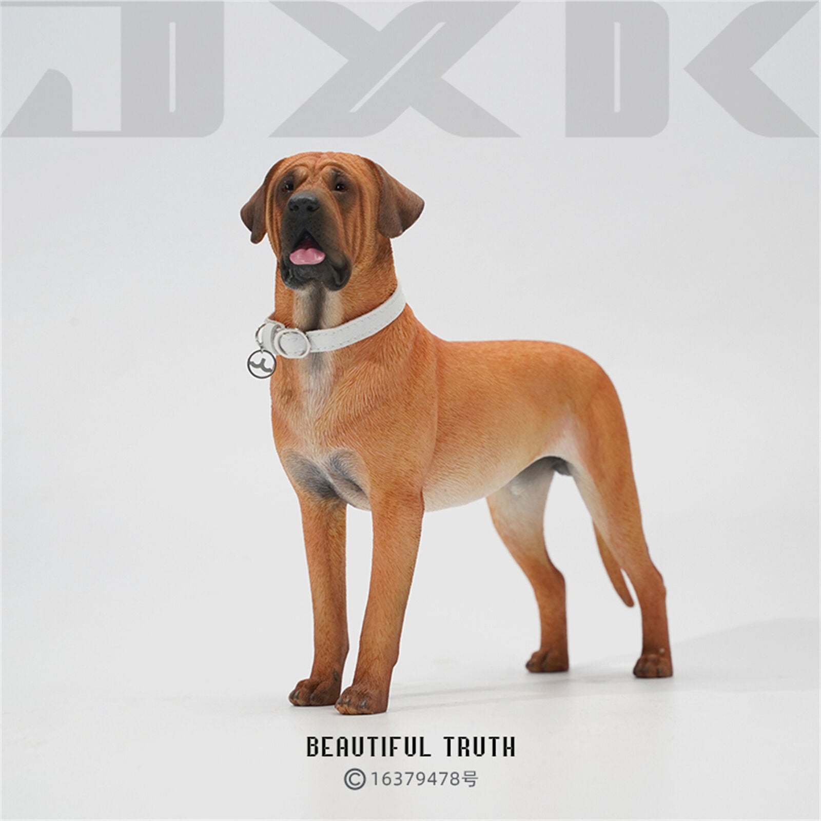 JXK 1/6 Tosa Inu Model