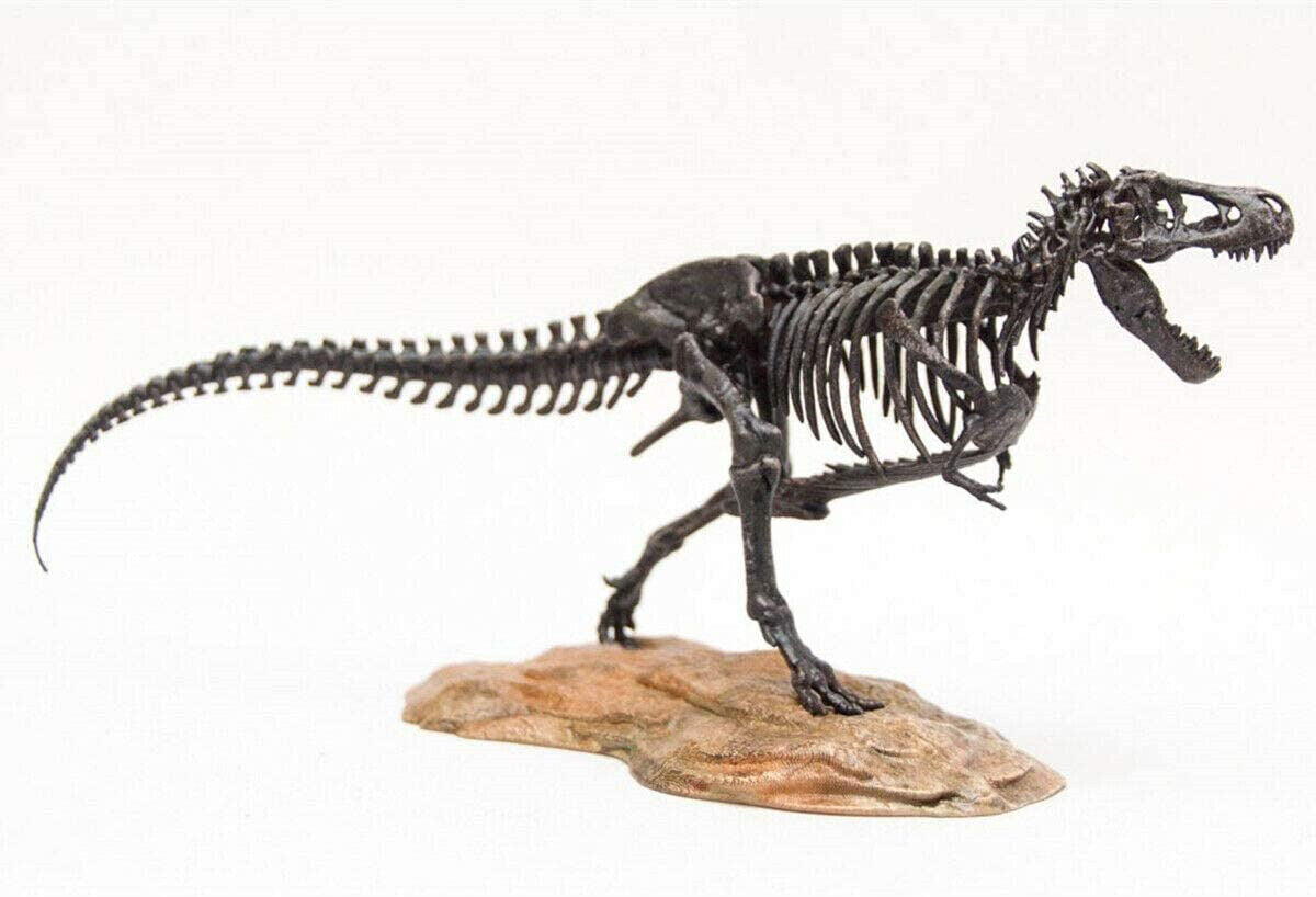 1/72 T-Rex Skeleton Model