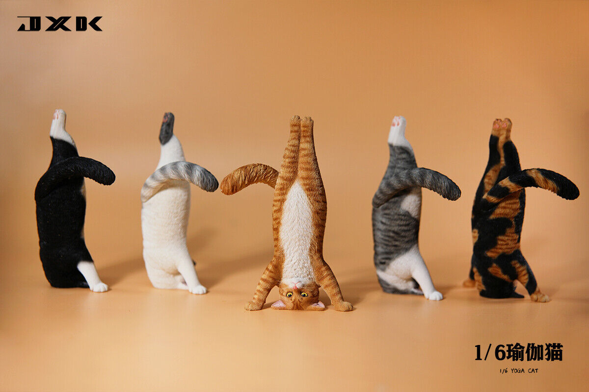JXK 1/6 Yoga Cat Model