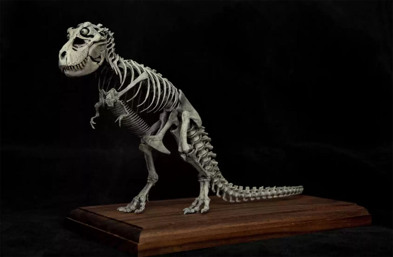 VWUVWU 1/35 Standing Tyrannosaurus Skeleton Model