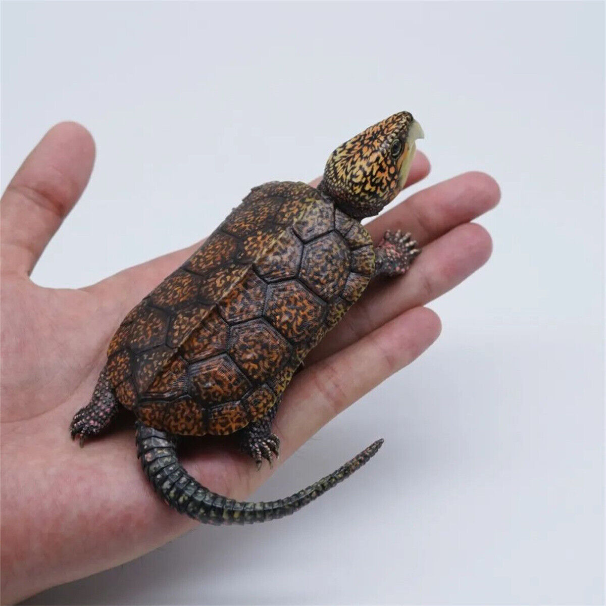 1:1 Big-headed Turtle Statue