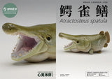 Animal Planet Alligator Gar Model