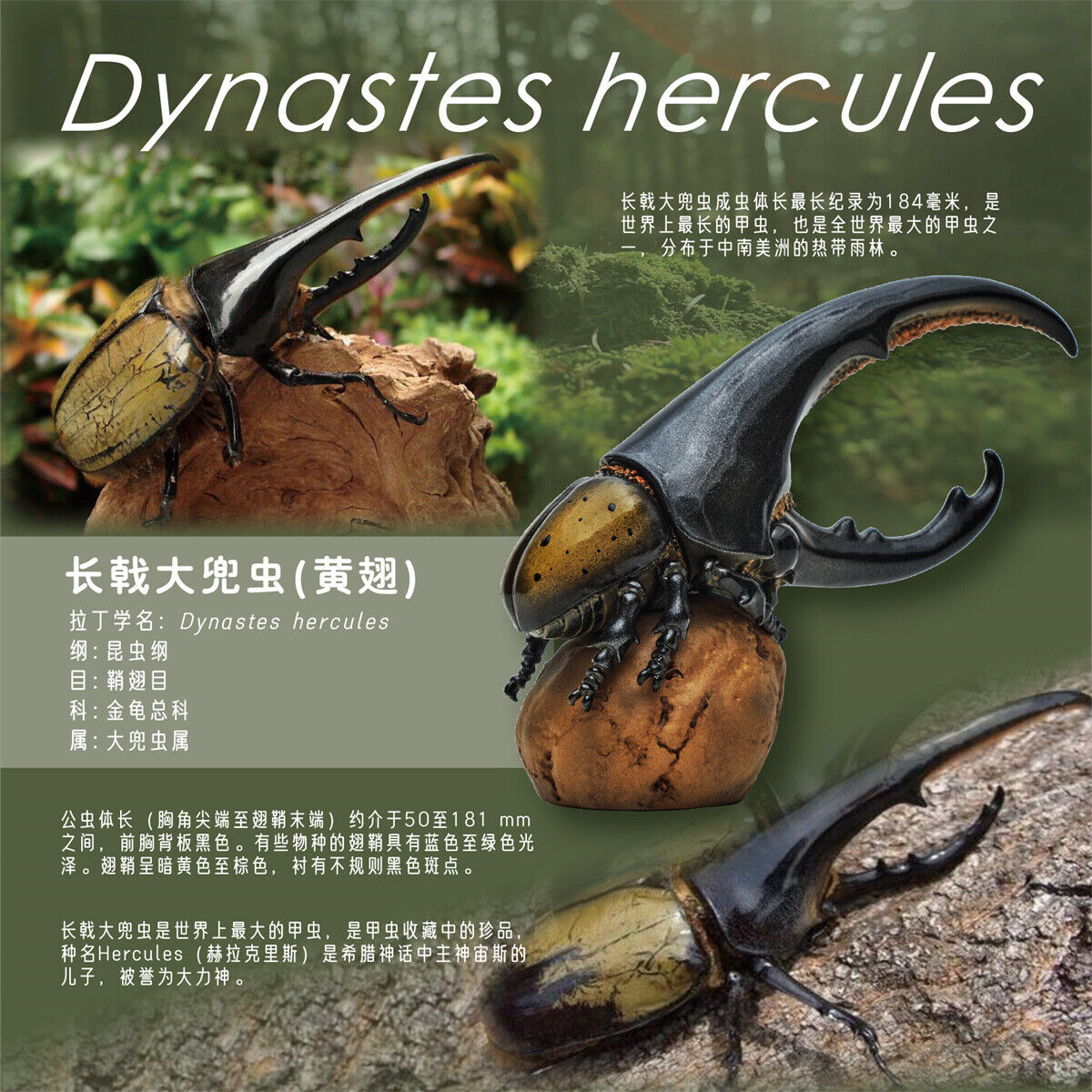 Animal Planet 07 Insect Blind Box Model