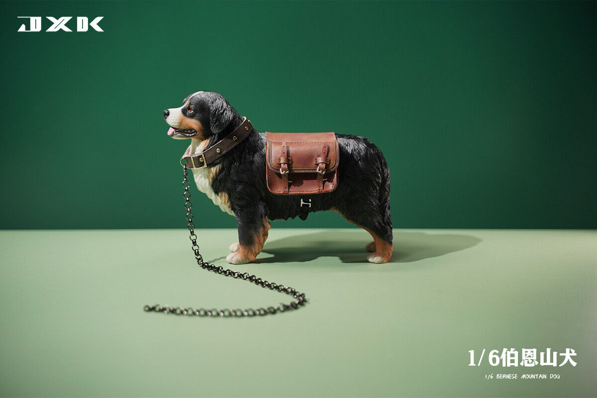 JXK 1/6 Bernese Mountain Dog Model